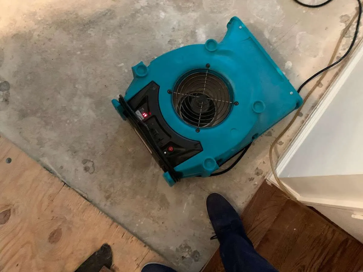 Air mover drying subfloor during Commercial Water Damage Restoration in Hallsville